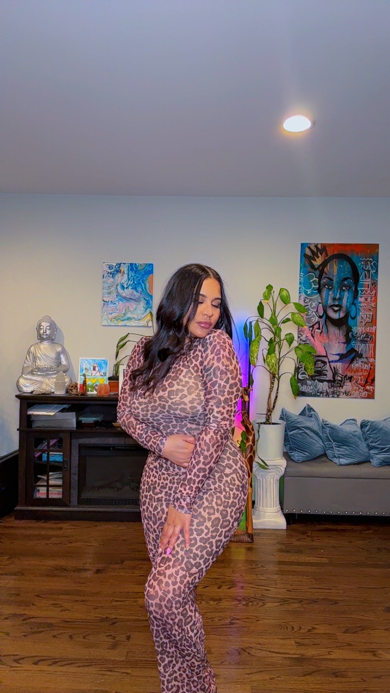 Sheer Cheetah Leopard Long Sleeve Dress
