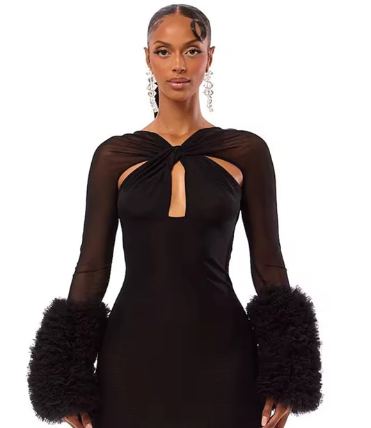 Luxe Ruffle Sleeve Mini Dress