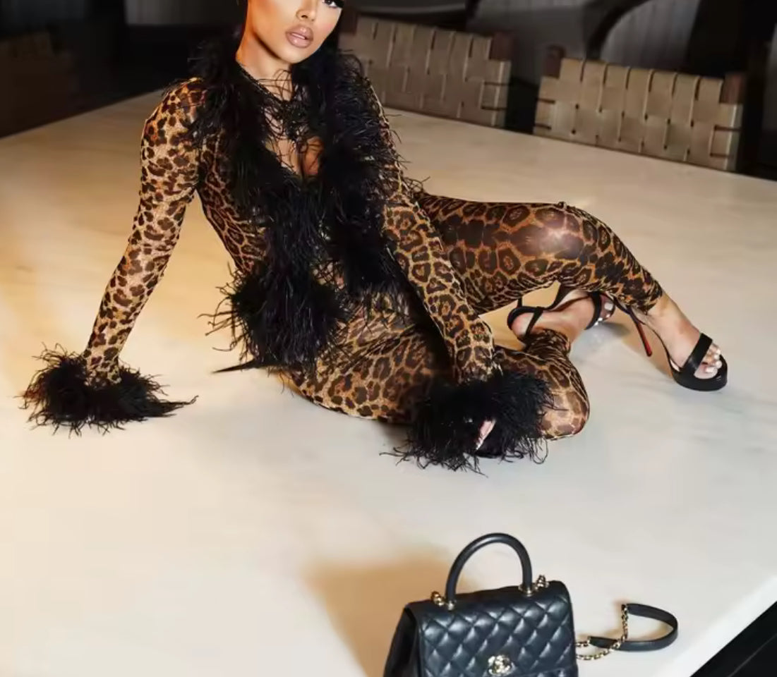 Feather Trimmed Mesh Two-Piece Pants Set