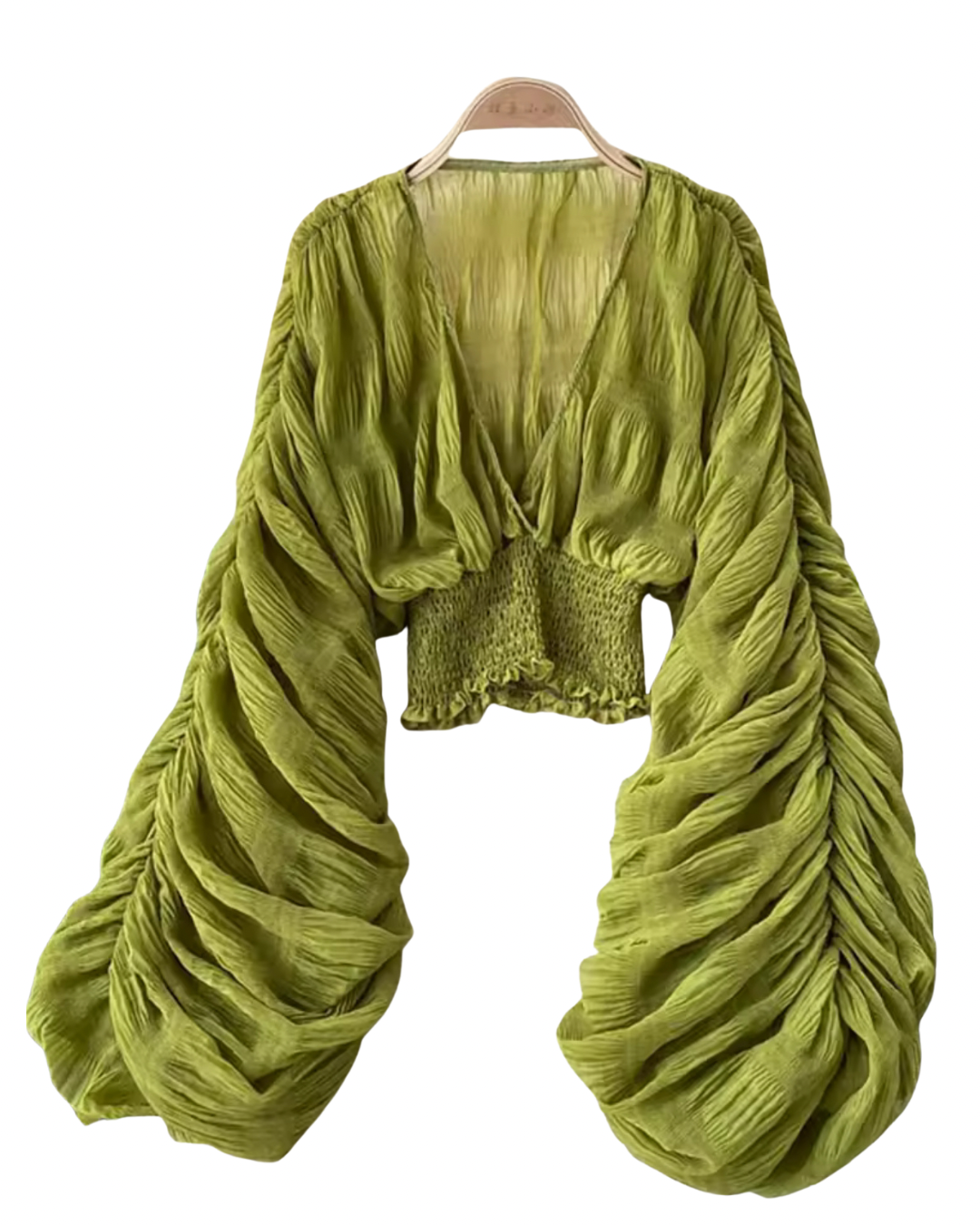 Boho Luxe Balloon Sleeve Sheer Blouse